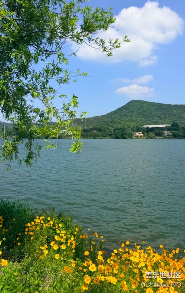 【初夏漫行】初夏的風景