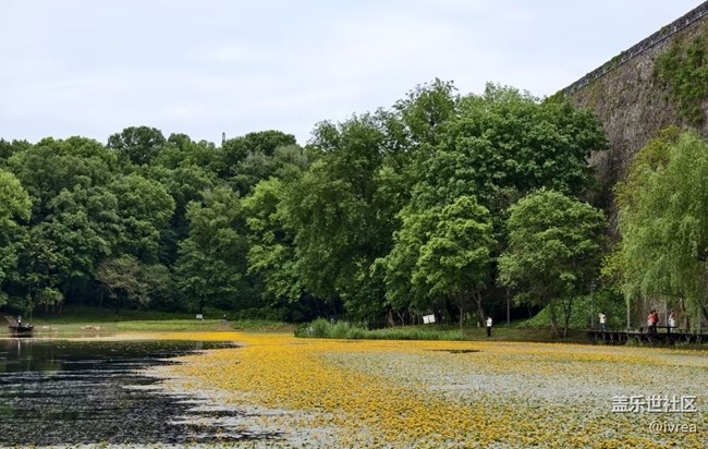 【初夏漫行】公園
