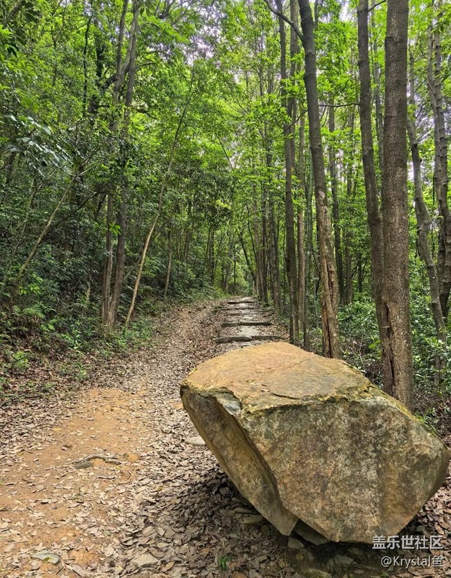 【初夏漫行】山林古道