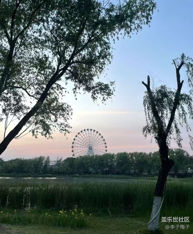 【初夏漫行】夏日公園