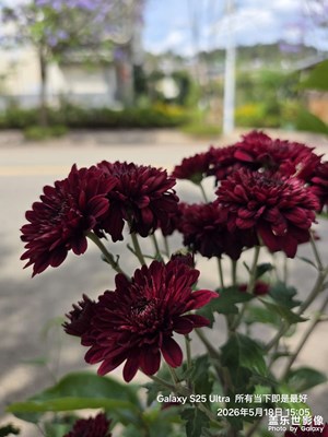 我不是專業(yè)的，但還可以