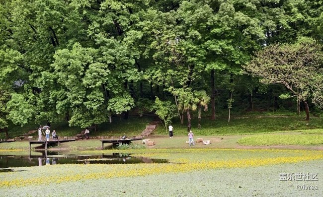 【初夏漫行】公園