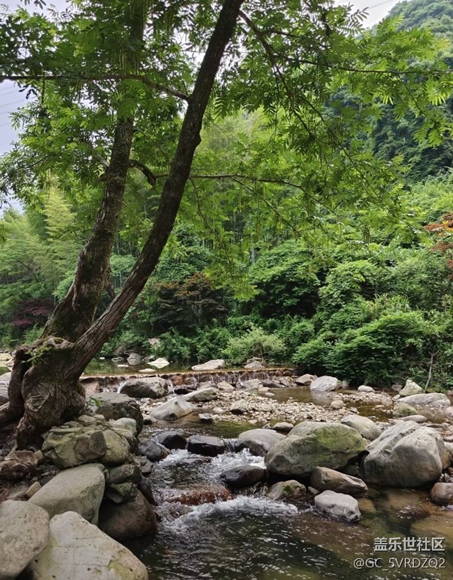 【初夏漫行】上山