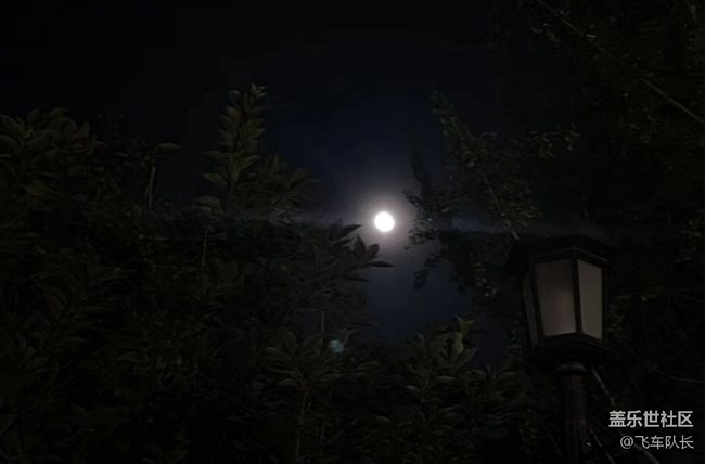 【初夏漫行】夜晚