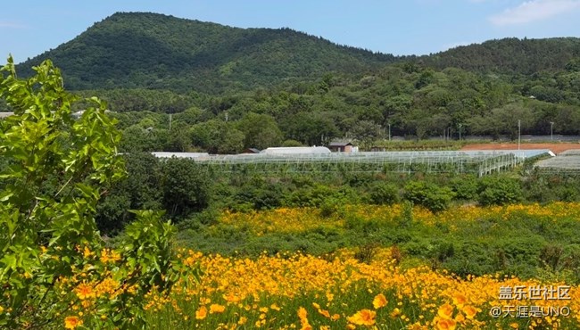 【初夏漫行】初夏的風景