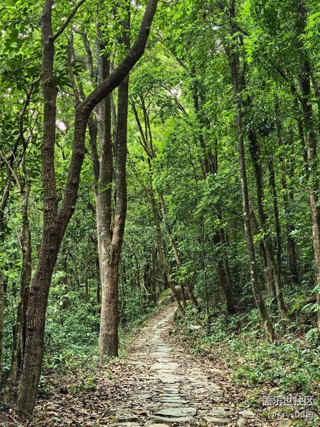 【初夏漫行】山林古道