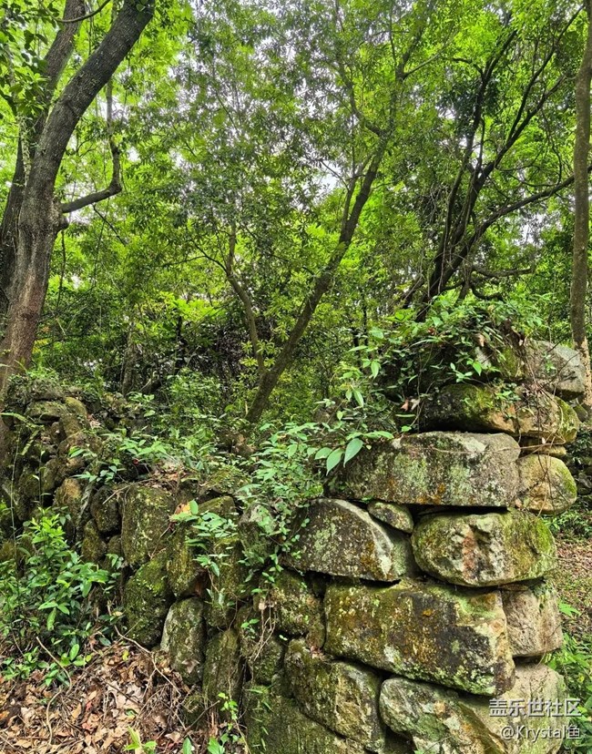【初夏漫行】山林古道