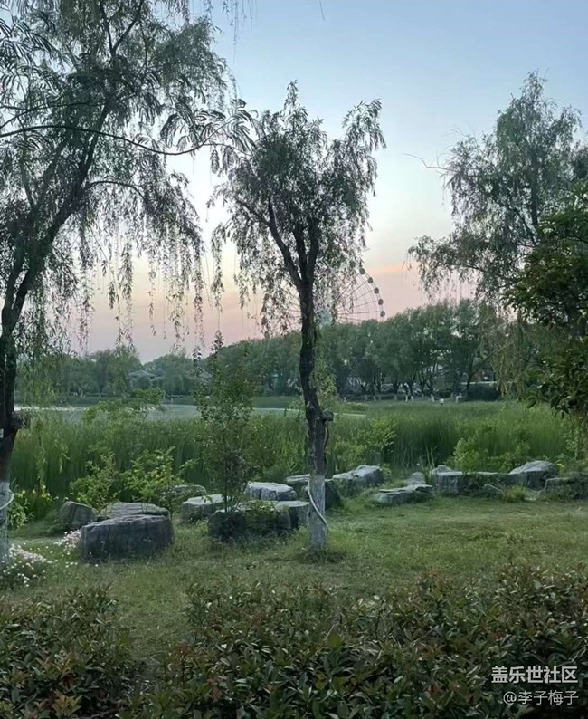 【初夏漫行】夏日公園