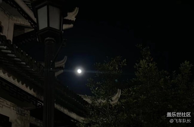 【初夏漫行】夜晚