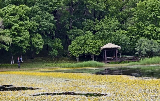 【初夏漫行】公園