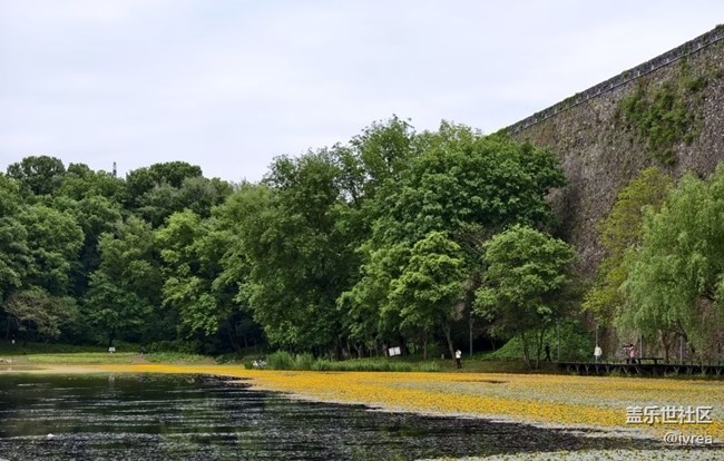【初夏漫行】公園