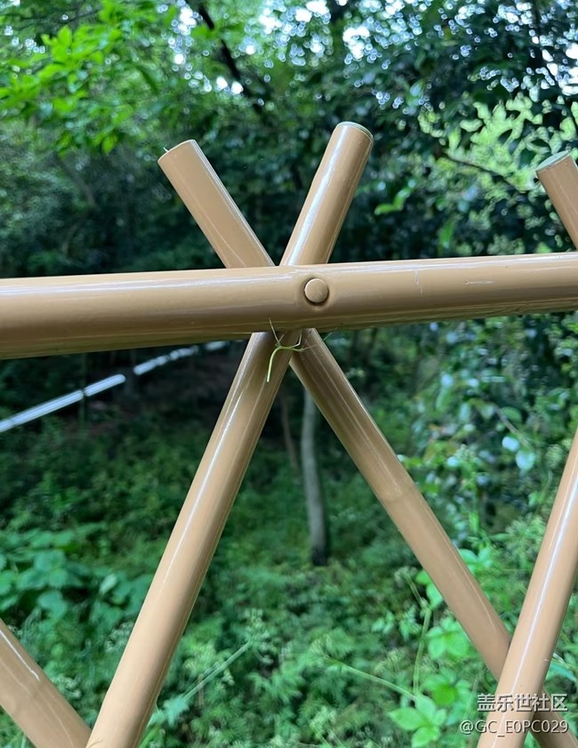【初夏漫行】親近自然