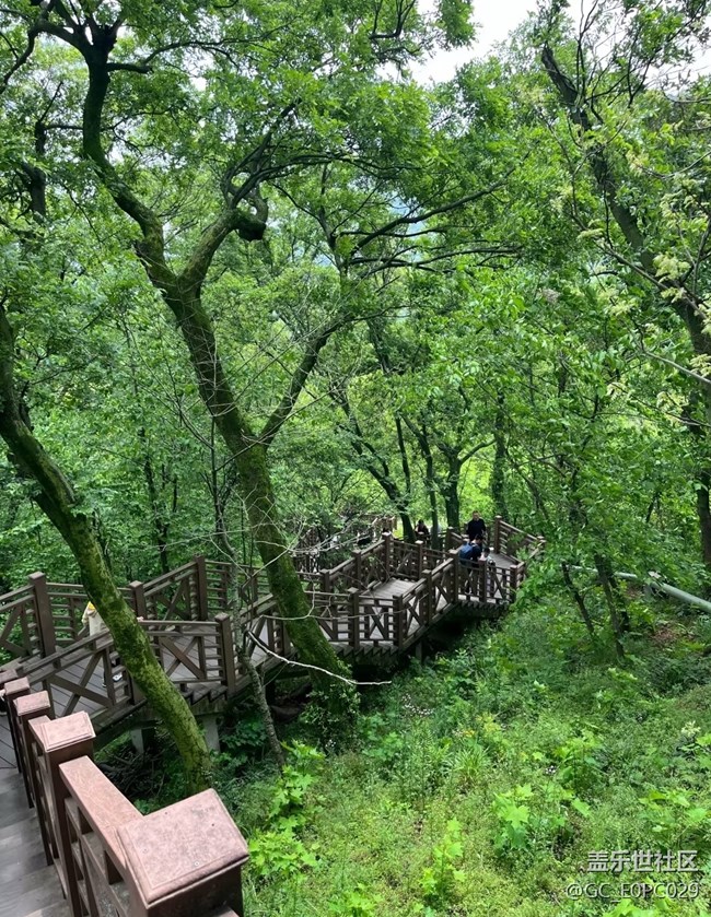 【初夏漫行】親近自然