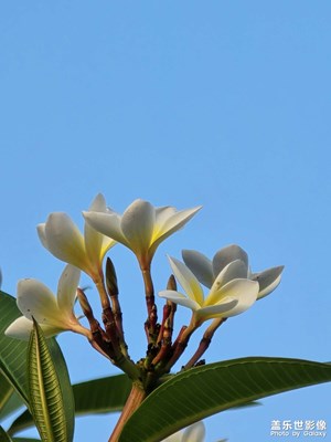 【人間五月天】定格美好的瞬間