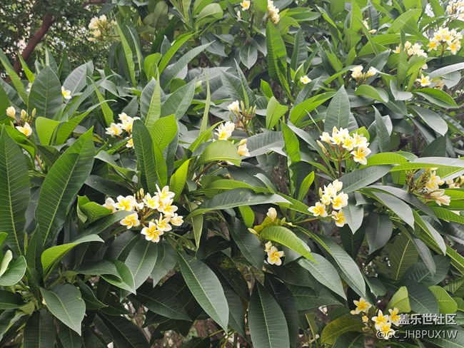 【AI定格五月風華】公園隨拍