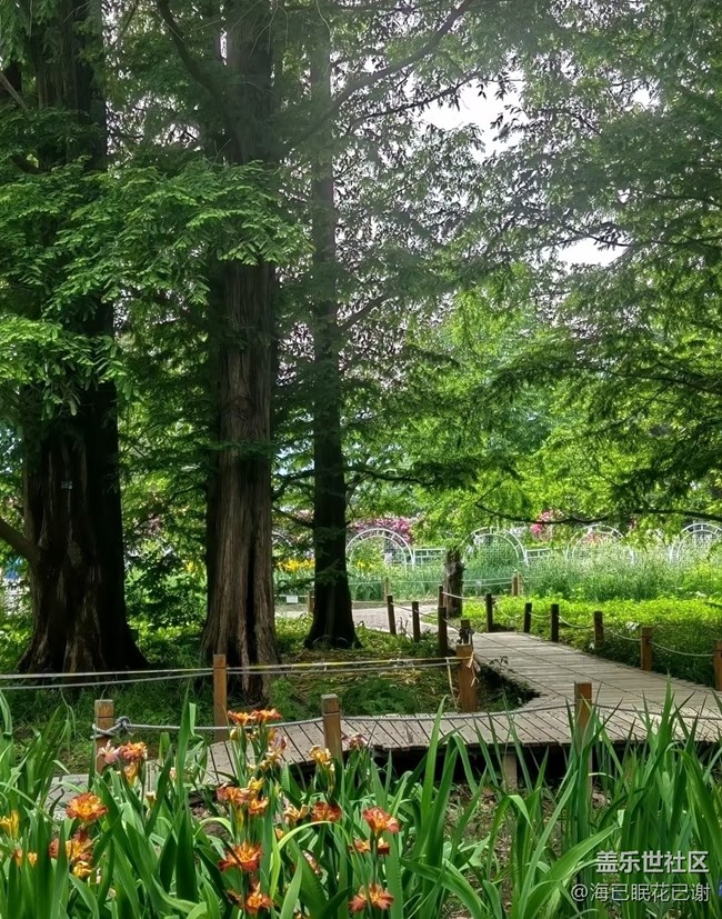 【初夏漫行】植物園