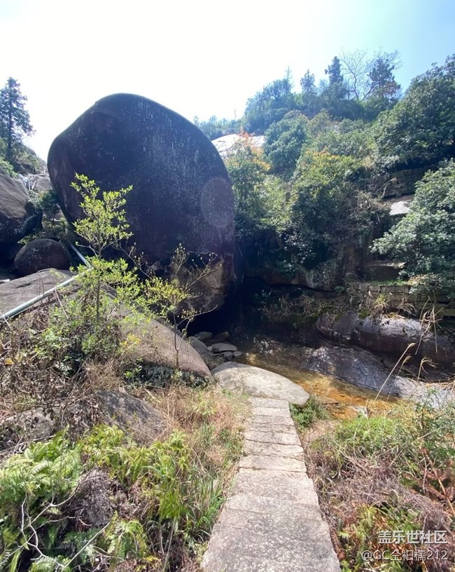 【初夏漫行】初夏