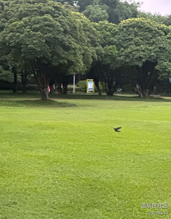 【初夏漫行】公園走走