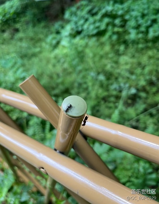 【初夏漫行】親近自然