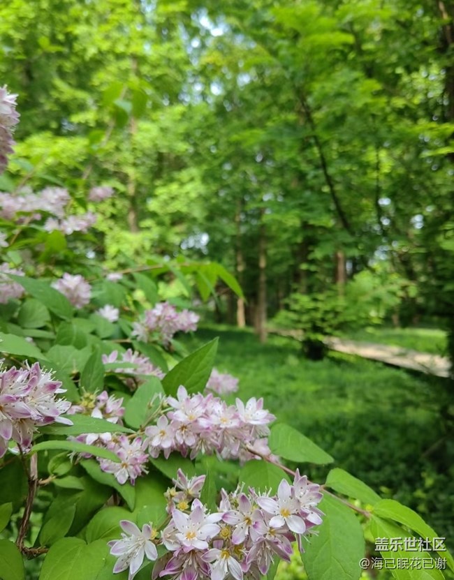 【初夏漫行】植物園