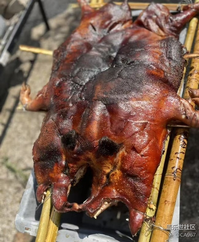 【輕食微光】烤乳豬