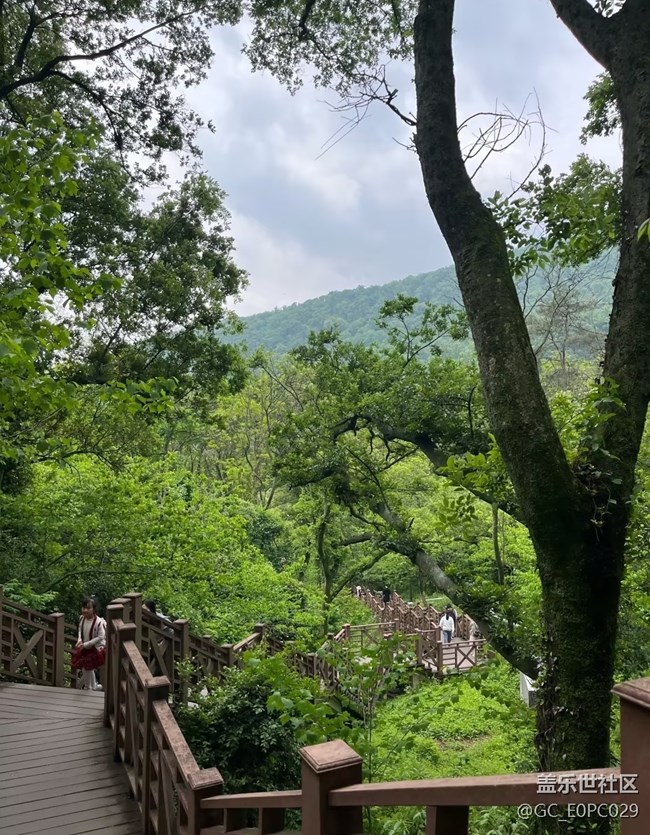 【初夏漫行】親近自然