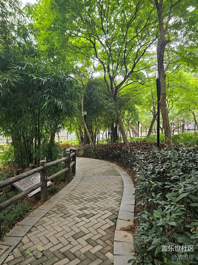 【AI定格五月風(fēng)華】夏天公園