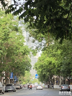 清晨