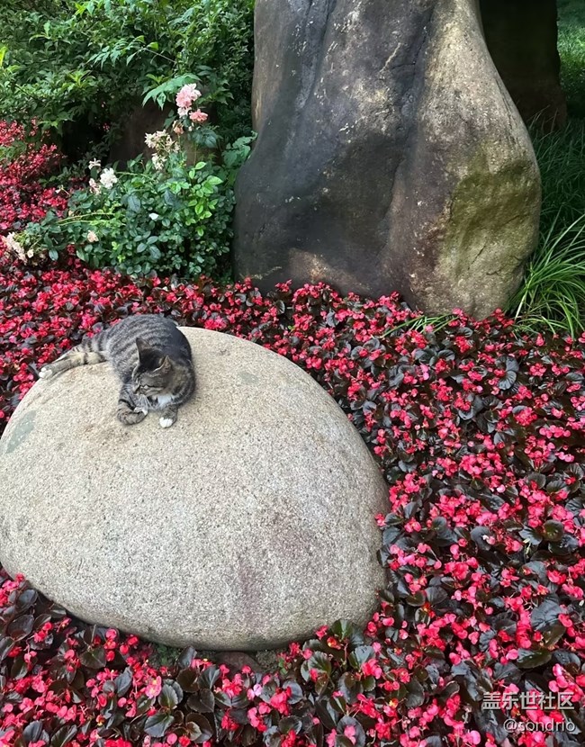 【初夏漫行】公園走走