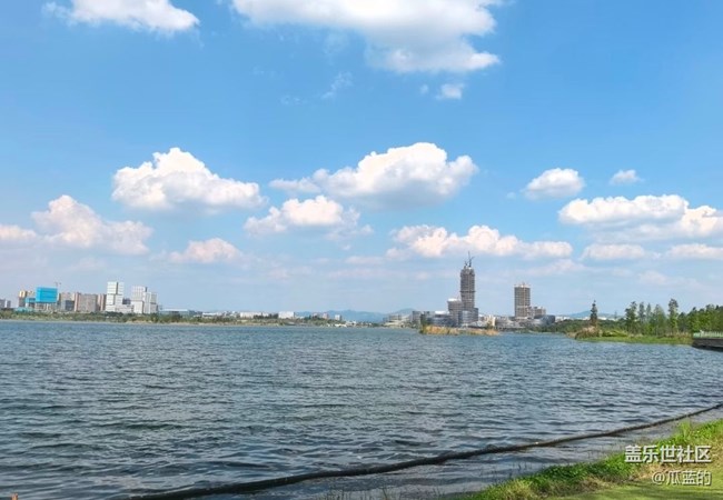 【初夏漫行】湖邊