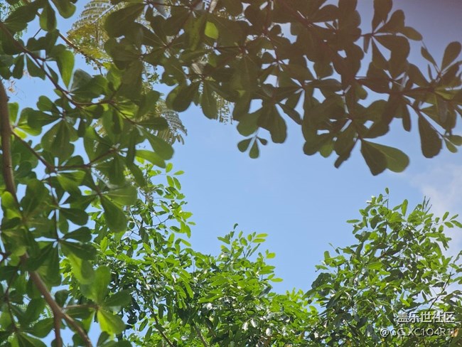 【初夏漫行】初夏