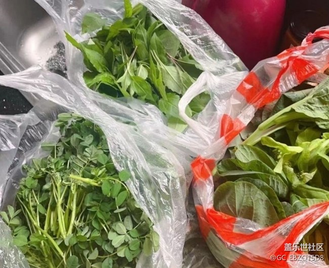 【初夏漫行】家的溫暖