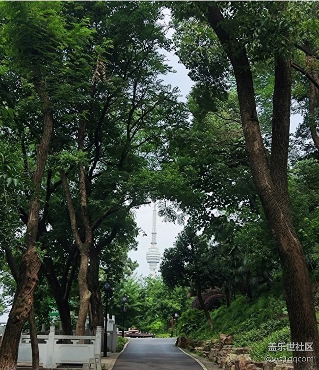 【初夏漫行】龜山公園