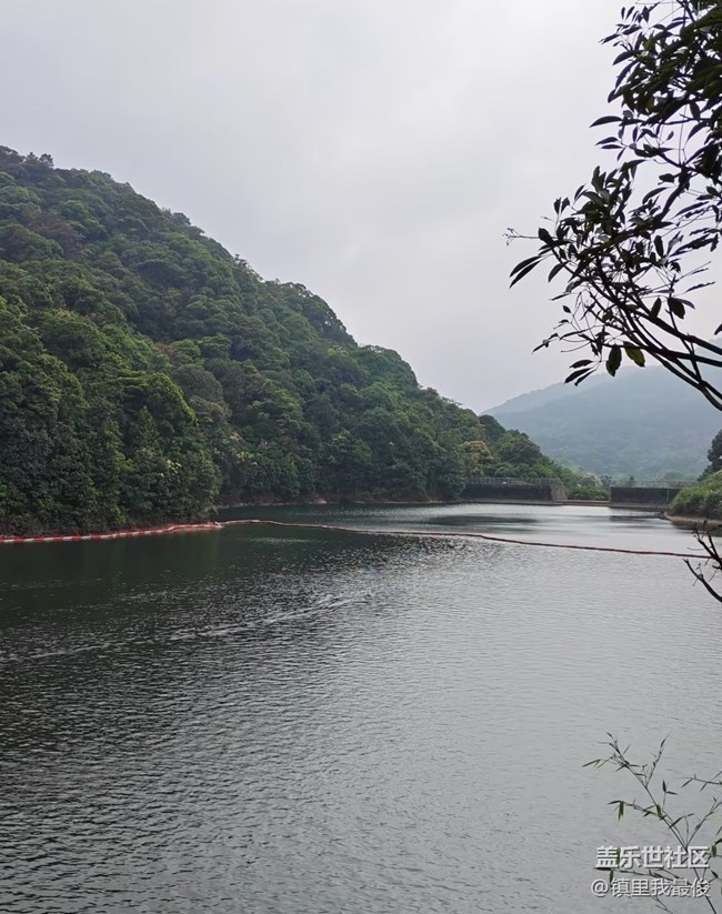 【初夏漫行】森林公園