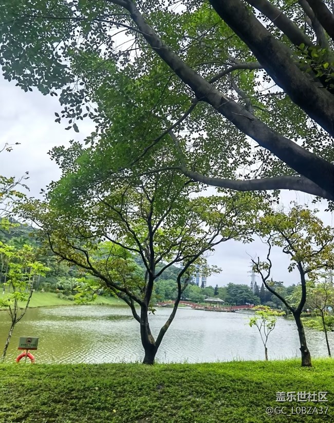 【初夏漫行】天然氧吧