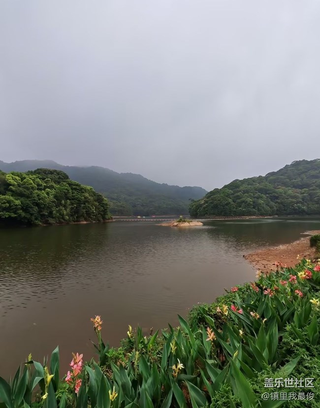 【初夏漫行】森林公園