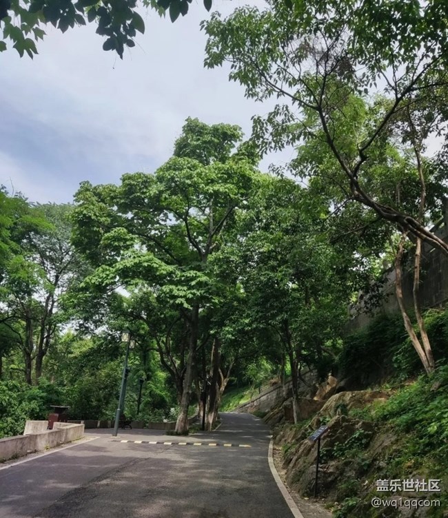 【初夏漫行】龜山公園