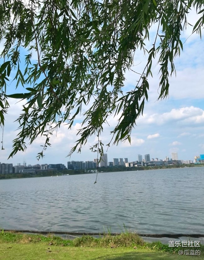 【初夏漫行】湖邊