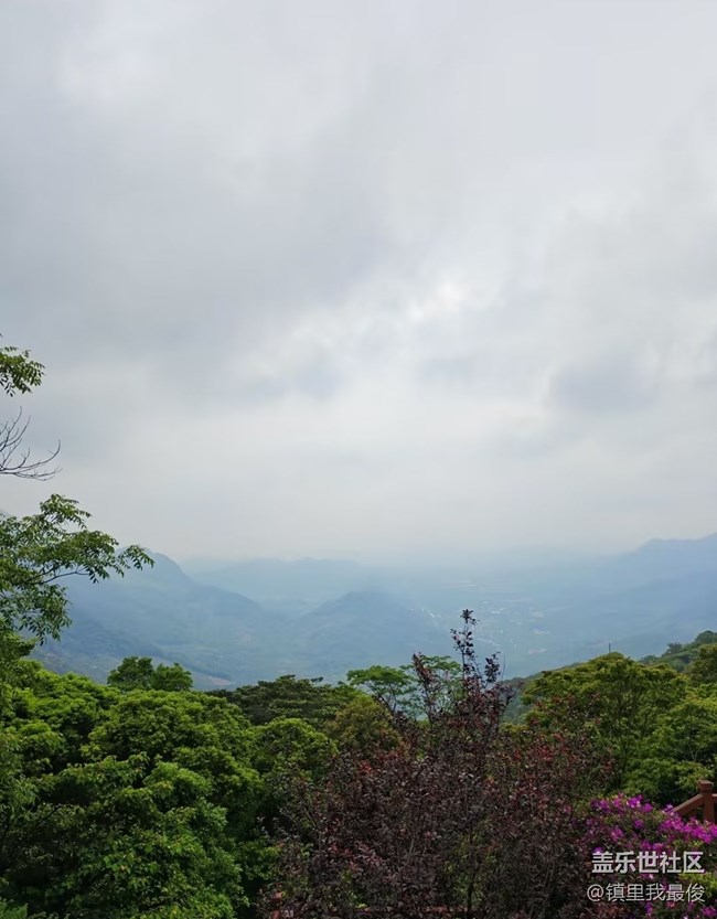 【初夏漫行】森林公園