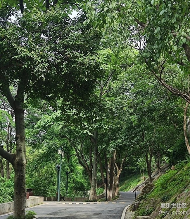 【初夏漫行】龜山公園
