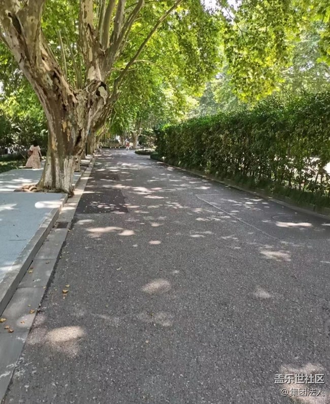 【初夏漫行】杭城