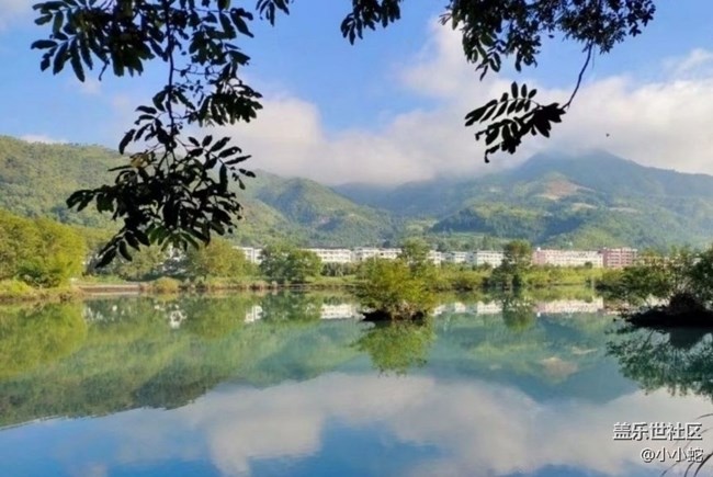 【初夏漫行】清晨