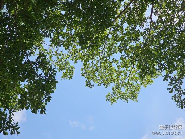 【初夏漫行】初夏