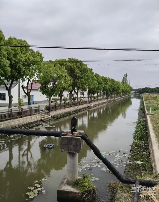【初夏漫行】鄉(xiāng)間小路
