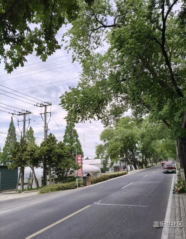 【初夏漫行】鄉(xiāng)間小路