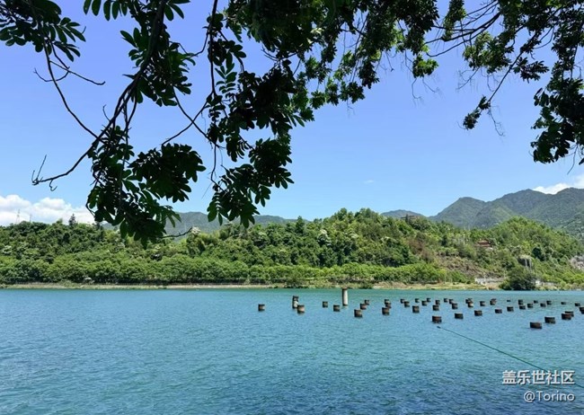 【初夏漫行】家鄉(xiāng)小城