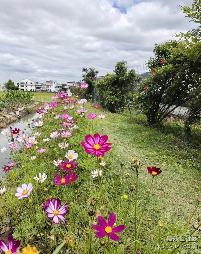 【初夏漫行】賞美景