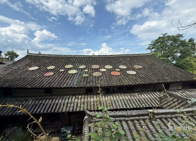 【初夏漫行】家鄉(xiāng)小城