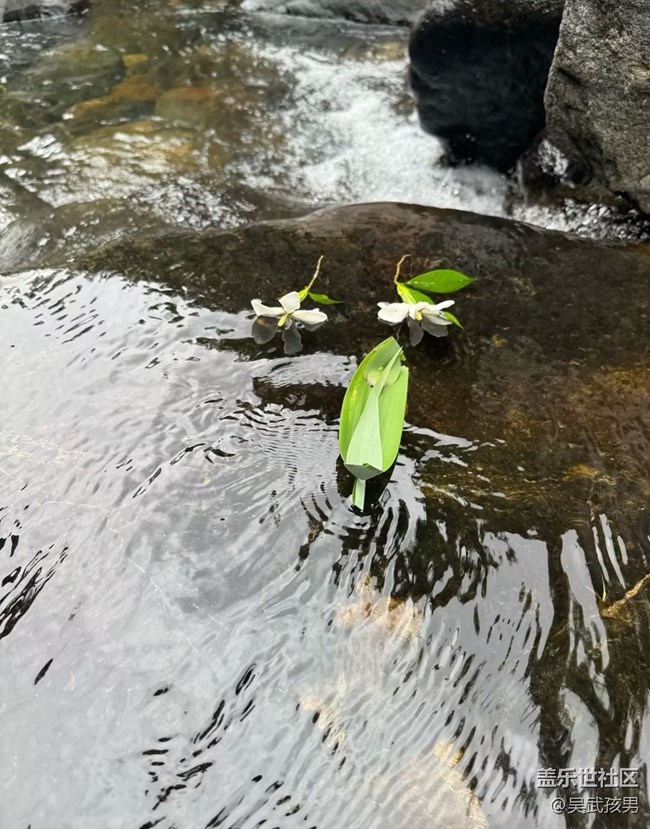 【初夏漫行】山林秘境