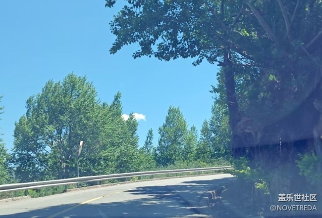 【自駕所見】夏天出游